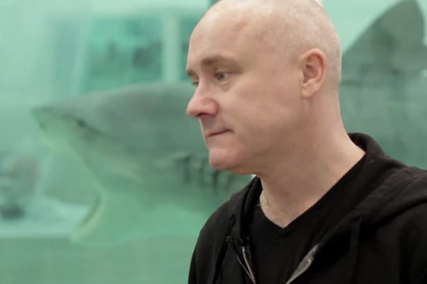 Tate Modern: Exhibition Walkthrough with Ann Gallagher and Damien Hirst