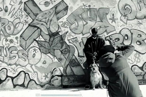 Tom Gould & Anna Delany "Two Of A Kind" Exhibition Video