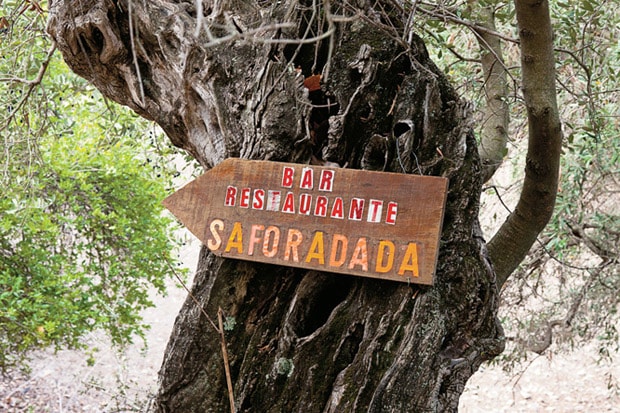 Edible Selby: Emilio Fernandez of Sa Foradada