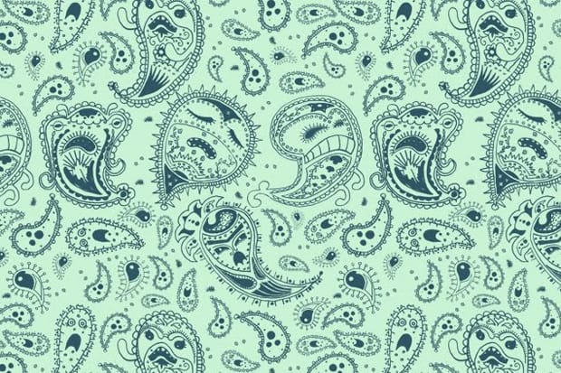 Materials & Patterns: Paisley