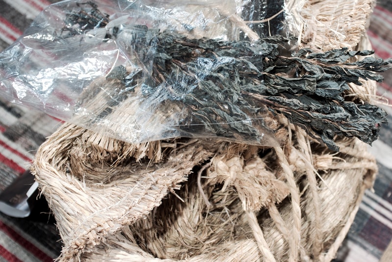 F.I.L. Kyoto Natural Dyeing Process Demonstration and Workshop Recap