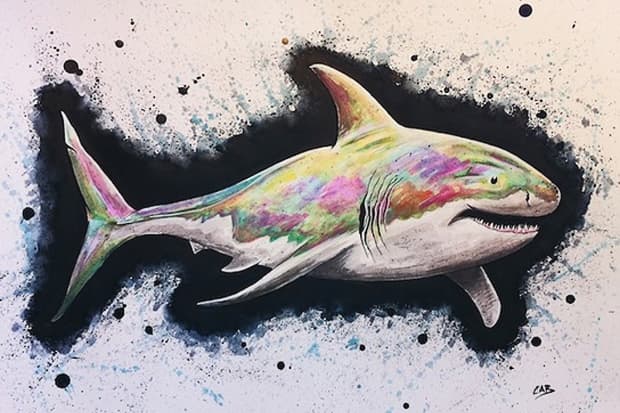 Steve Caballero "A Life Within" Exhibition @ Bela La Vie Boutique