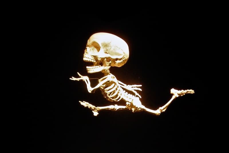 Art Focus: Hyungkoo Lee Recreates the Skeletal Structures of Cartoon Characters