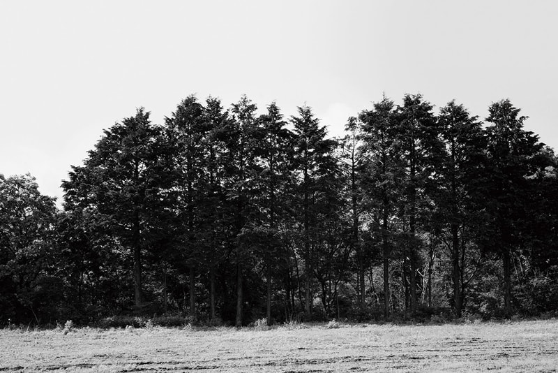 hobo 2012 Fall/Winter "YARDWORK" Lookbook