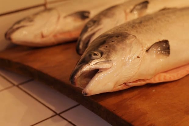 NOWNESS: Ole Hansen's Smoked Salmon Recipe