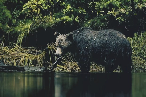 Stussy Canada Showcase the Photography of Jeremy Koreski