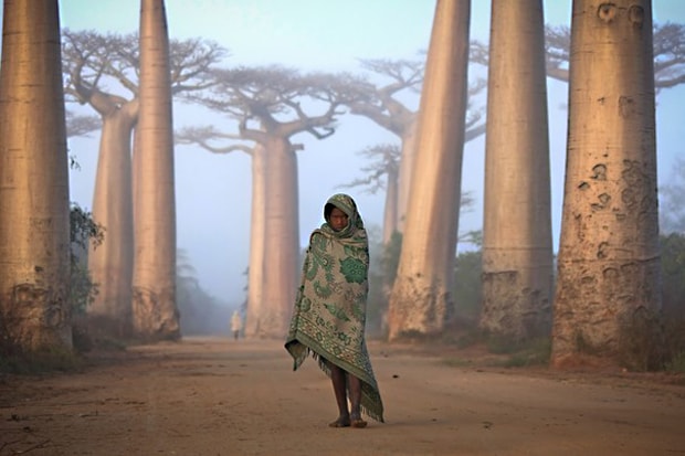 Winners of the 2012 National Geographic Photo Contest
