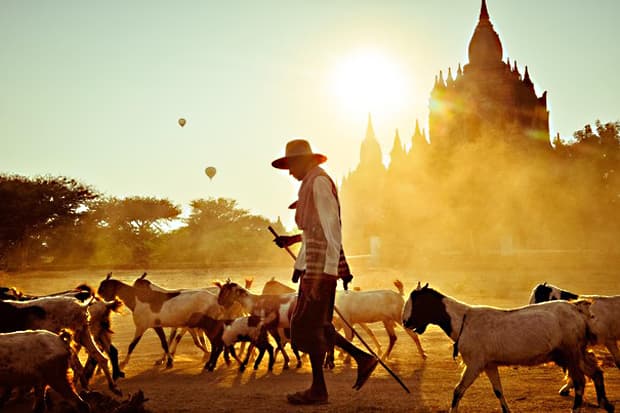 Winners of the 2012 National Geographic Photo Contest