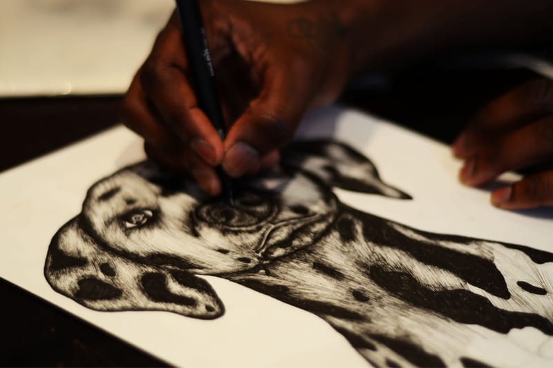 Pen & Paper: Willkay