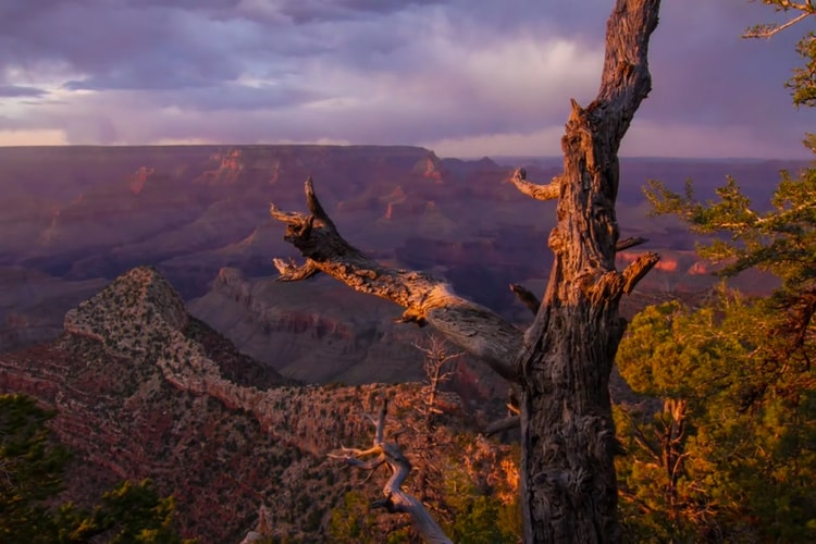 Blink of Time - A Stunning Timelapse Video of the Grand Canyon