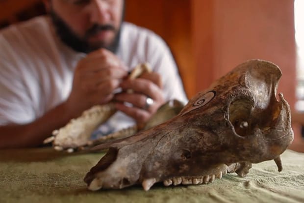 POW WOW Hawai'i 2012 Video: Part III