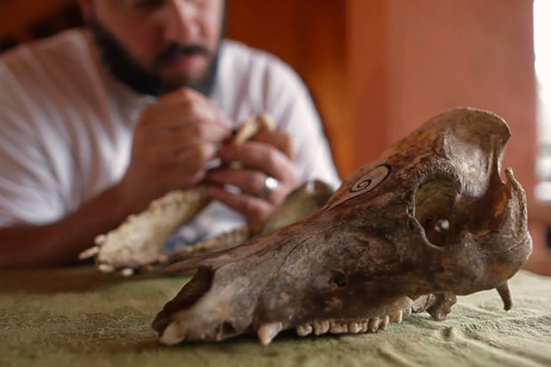 POW WOW Hawai'i 2012 Video: Part III