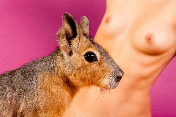 Ryan McGinley “Reach Out, I’m Right Here” @ Tomio Koyama Gallery