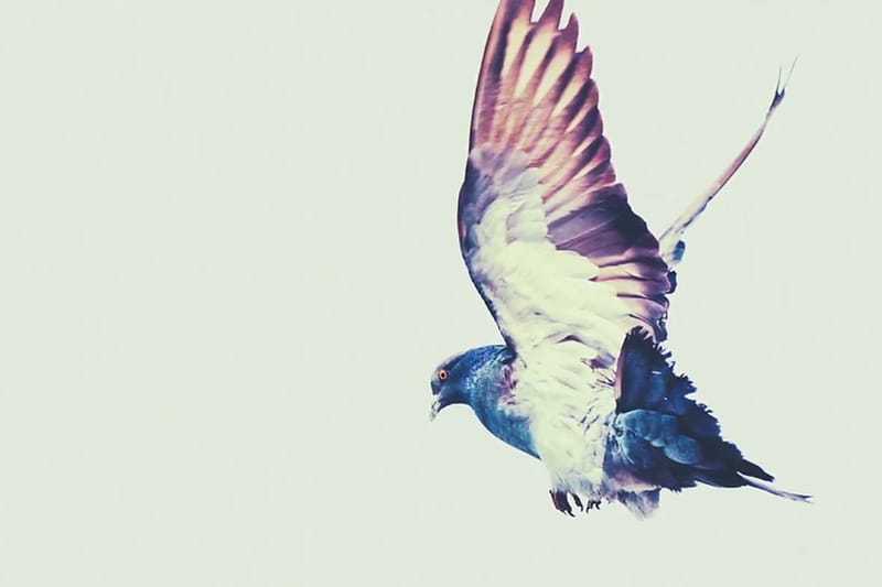 OTHERS by HYPEBEAST: 13thWitness Shares His Insights