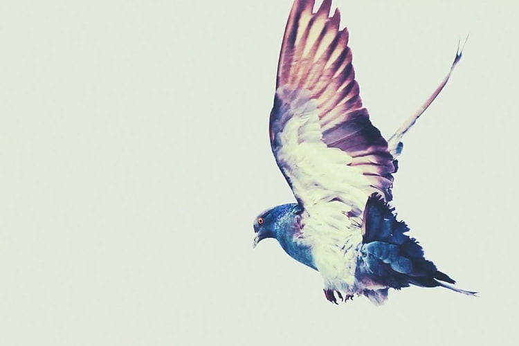 OTHERS by HYPEBEAST: 13thWitness Shares His Insights