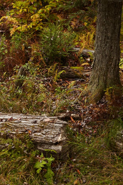 Three Leaves 2012 Fall/Winter Lookbook