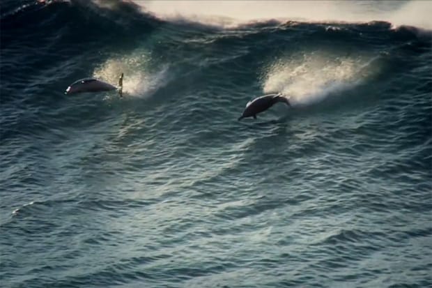 TWOTHIRDS Highlight Ethos and Fall/Winter Collection in This Seasonal Video