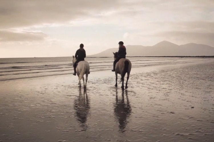 Discover the Fujifilm X20 with Photographer David Cleland