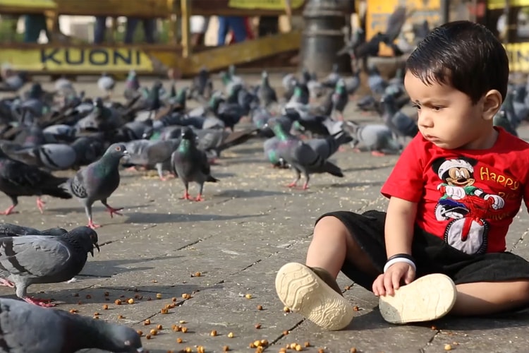 The Perennial Plate Spends A Day in India
