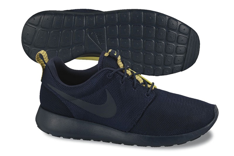 Nike 2013 Spring/Summer Roshe Run Collection