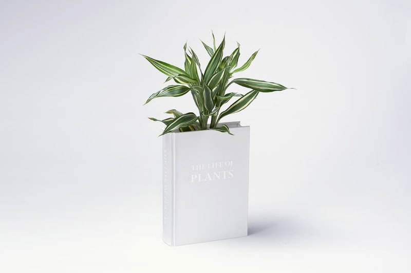 The Book Vase by YOY Design Studio
