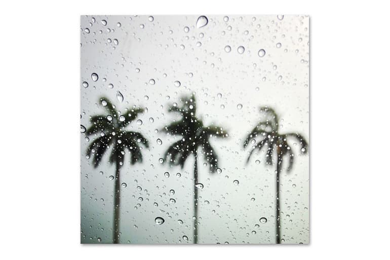 The Hundreds x Van Styles #NotBadForAPhotoShow Limited Addition Prints