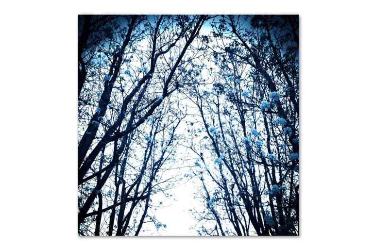 The Hundreds x Van Styles #NotBadForAPhotoShow Limited Addition Prints