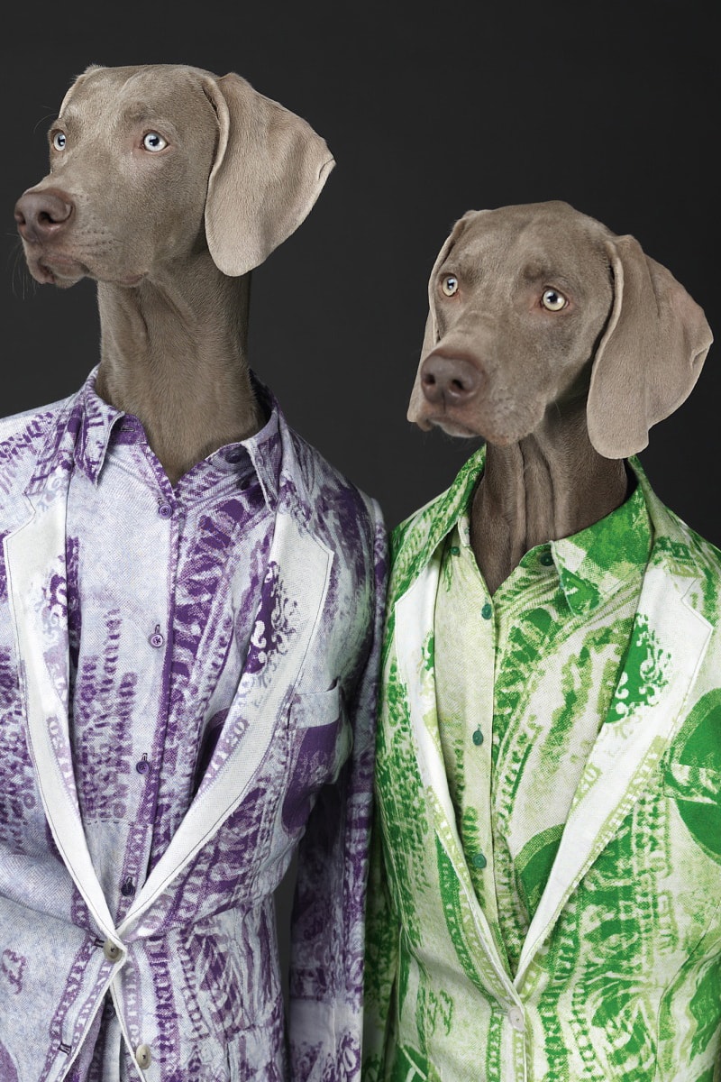 "Hat Dogs" by William Wegman for Acne Studios