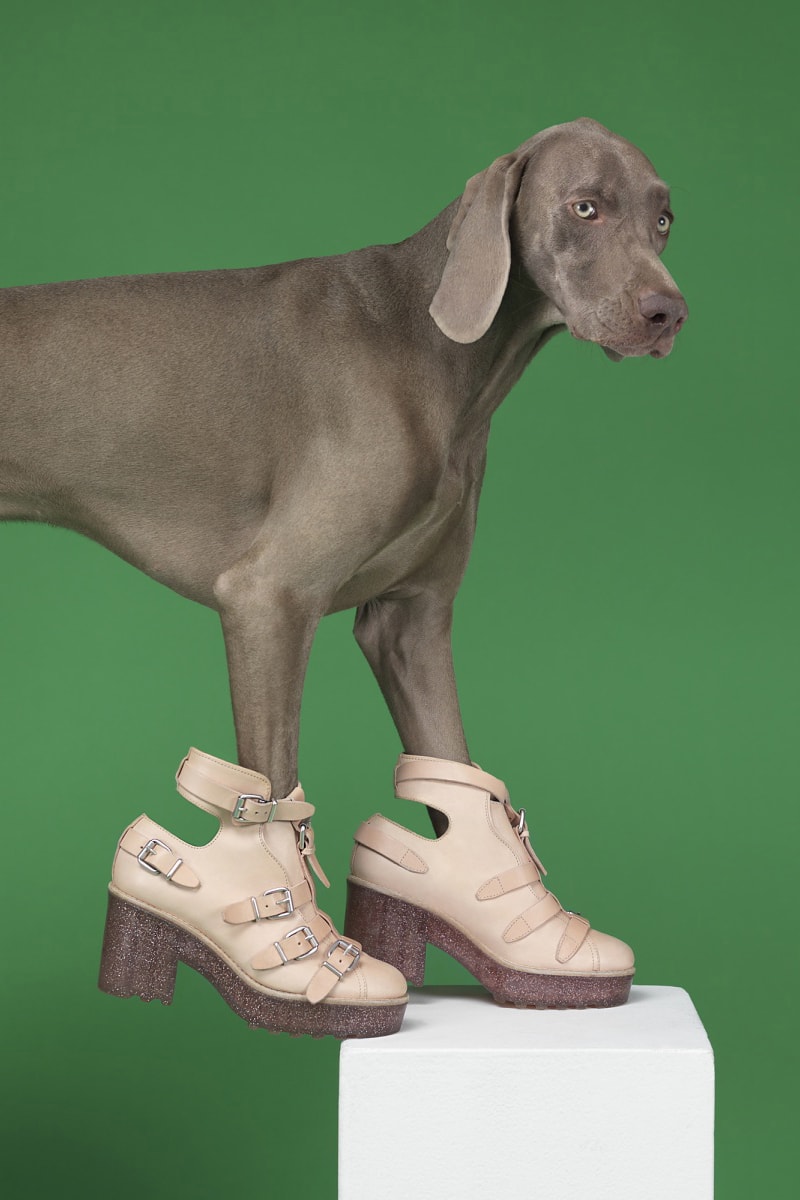 "Hat Dogs" by William Wegman for Acne Studios