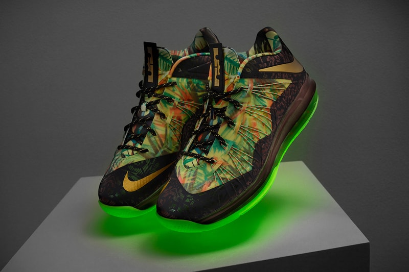 Nike LeBron James Championship Pack
