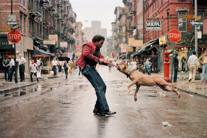 "Everybody Street" Documents New York City Photography Legends