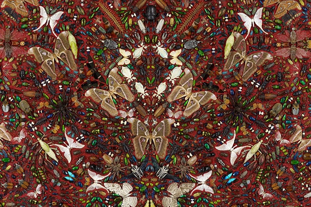 Damien Hirst to Collaborate with Alexander McQueen