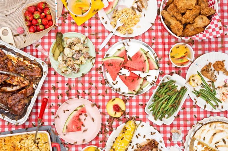 "Meals Interrupted" Photo Series by Davide Luciano and Claudia Ficca