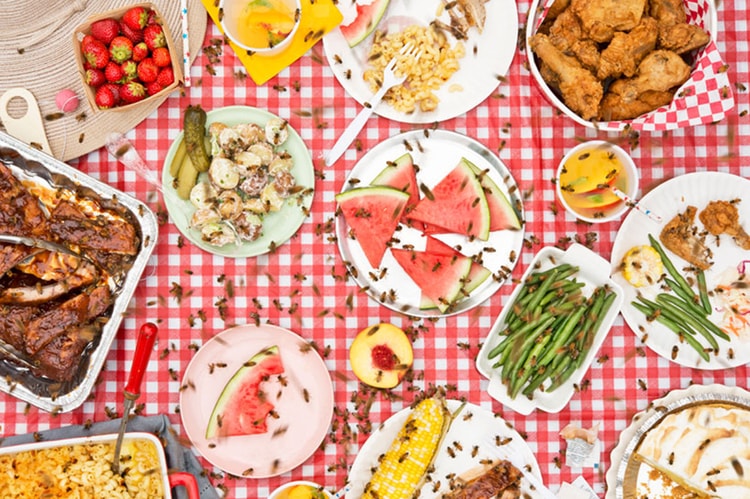 "Meals Interrupted" Photo Series by Davide Luciano and Claudia Ficca