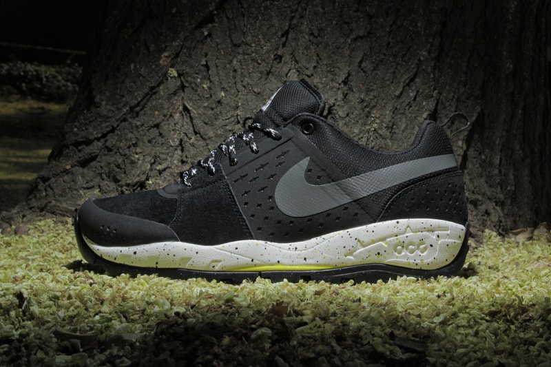 Nike ACG Air Alder Low