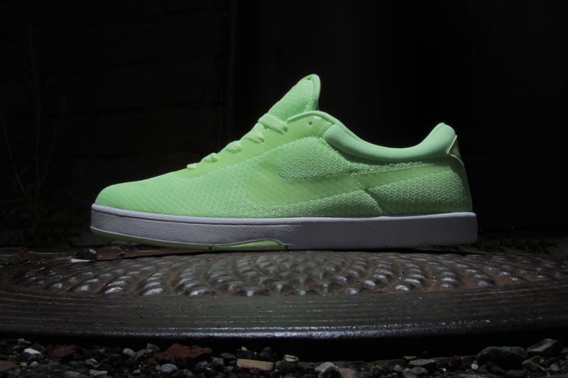 nike sb fr