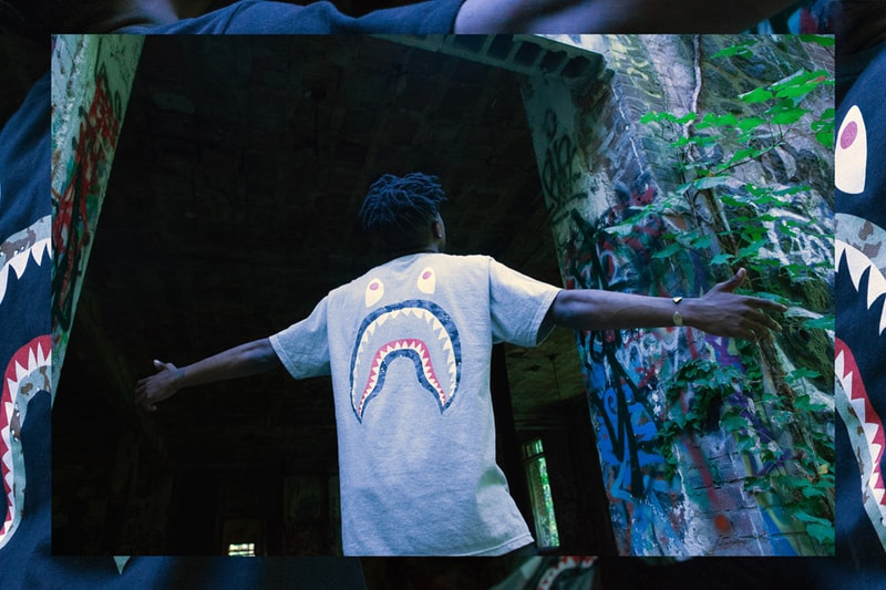  A Bathing Ape x Stussy 2013 Fall/Winter “Ill Collaboration” Lookbook