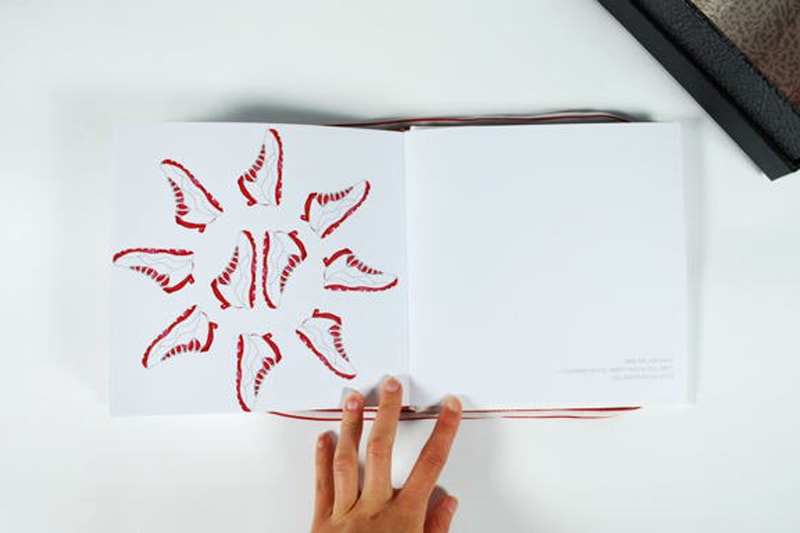Air Jordan Counting Book by Jacinta Conza