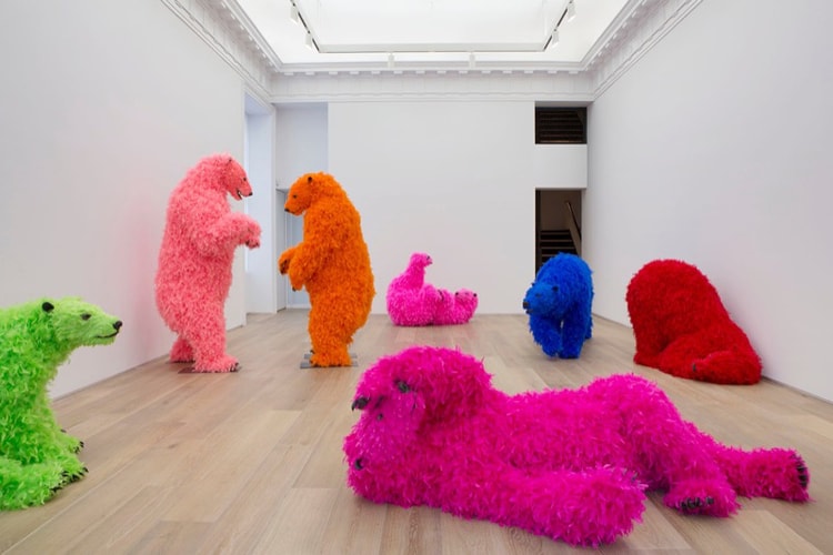 Paola Pivi "Ok, you are better than me, so what?" Exhibition @ Galerie Perrotin New York