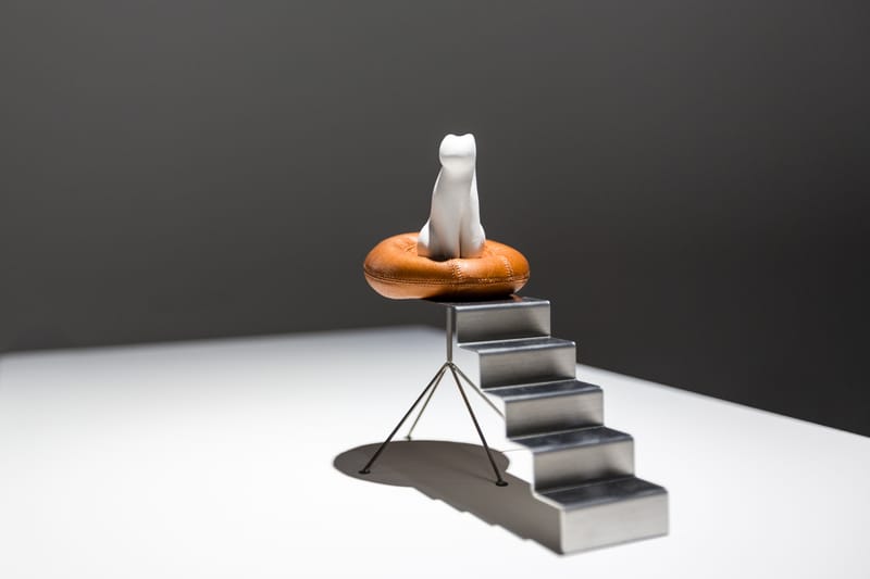 Architecture for Dogs