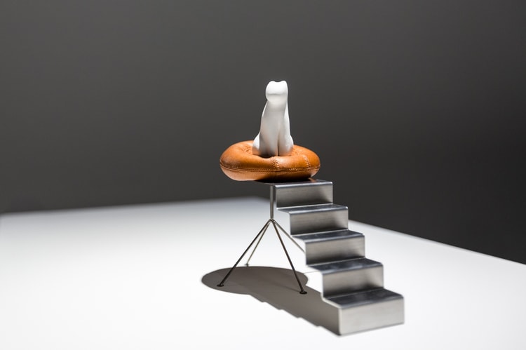 Architecture for Dogs