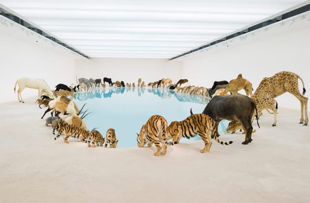 Cai Guoqiang "Falling Back to Earth" Exhibition @ Queensland Art Gallery