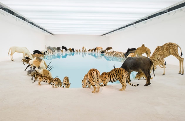 Cai Guoqiang "Falling Back to Earth" Exhibition @ Queensland Art Gallery