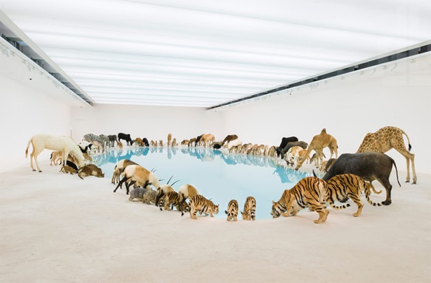 Cai Guoqiang "Falling Back to Earth" Exhibition @ Queensland Art Gallery