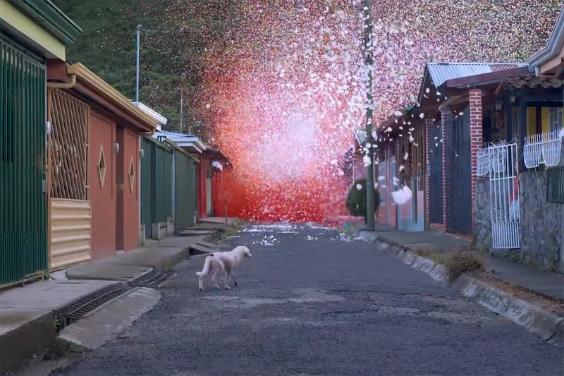 Sony Shows Off Insane Detail with 4K Ultra HD