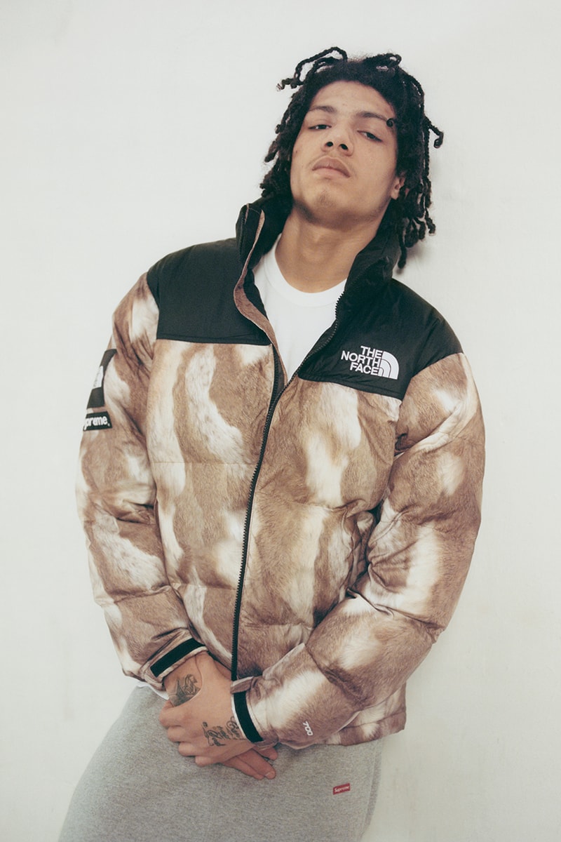 Supreme x The North Face 2013 Fall/Winter Collection