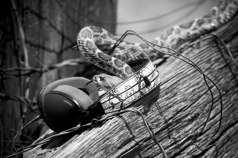 Eric Koston Dreams up Skullcandy Signature Series