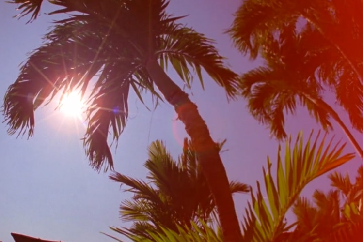 Hurley & Rob Machado Interview Native Hawaiian Designer Sig Zane