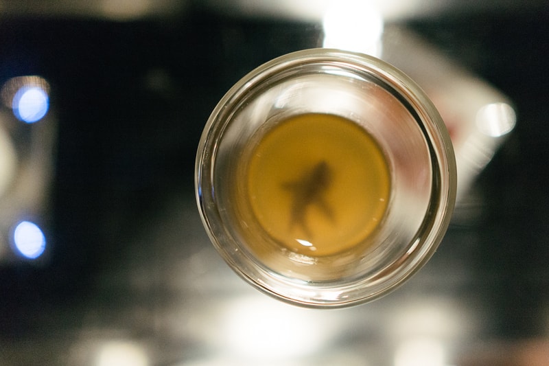 HYPEBEAST Road Trips Japan: Dining at the Tapas Molecular Bar at the Mandarin Oriental