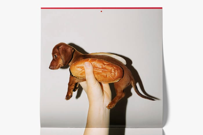 The Standard Hotel 2014 "A Year of Unusual Requests" Calendar